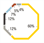 2010 CSI expenditure